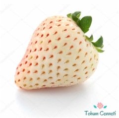 Beyaz Alpine Çilek Tohumu (20 Tohum)