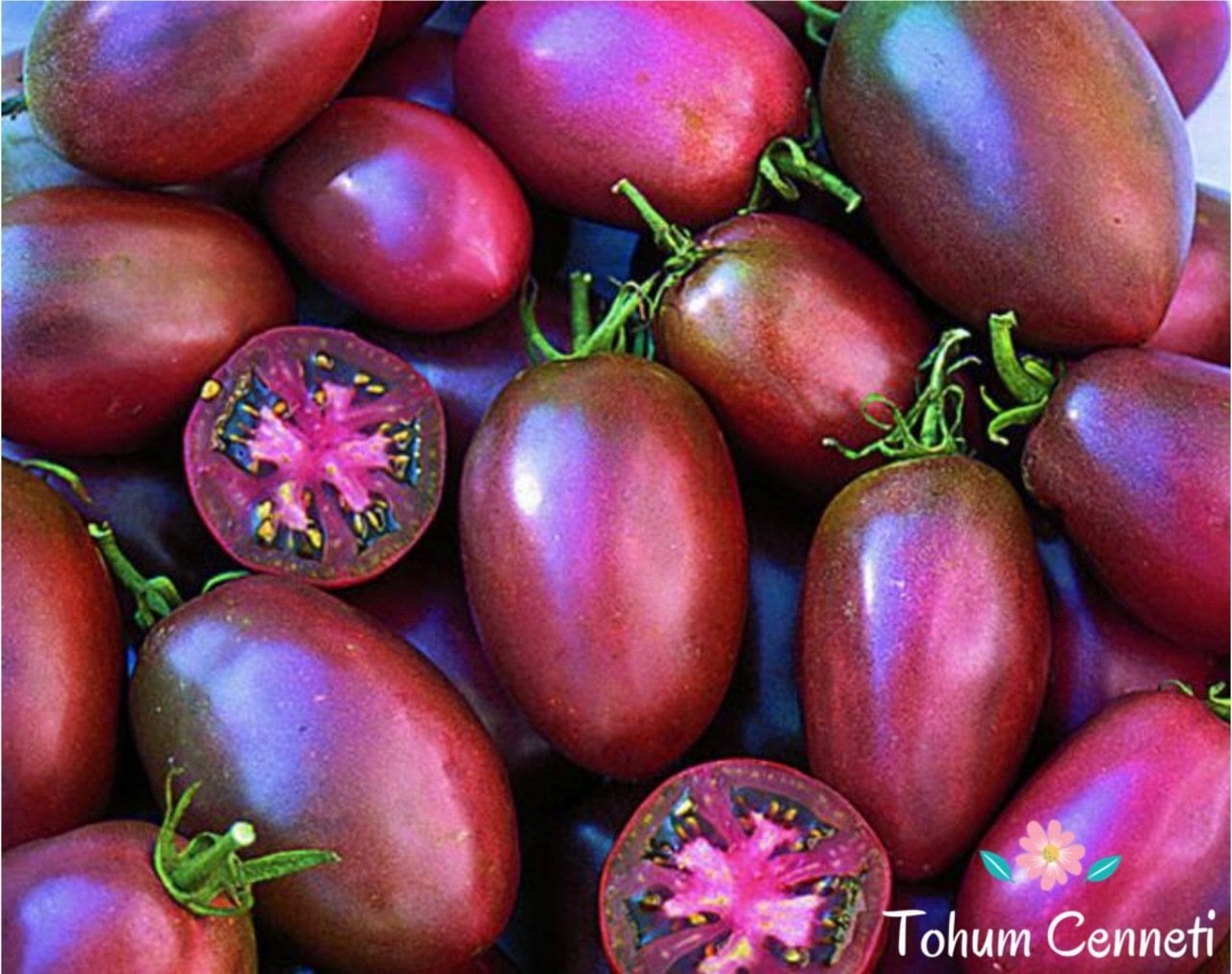 Doğal Mor Rus Domates Tohumu (10 Tohum)