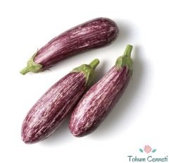 Geleneksel Çizgili Patlıcan Tohumu (100 Tohum)