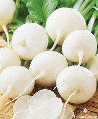 Geleneksel İri Beyaz Turp Tohumu (100 Tohum)