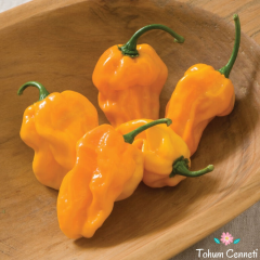Acı Habanero Biber Tohumu (10 Tohum)