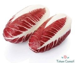 İtalyan Kırmızı Hindiba Tohumu (100 Tohum)
