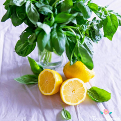Limon Kokulu Fesleğen Tohumu (50 Tohum)