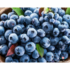 Blueberry Yaban Mersini Tohumu (20 Tohum)